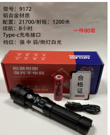 ZX-9172 product image